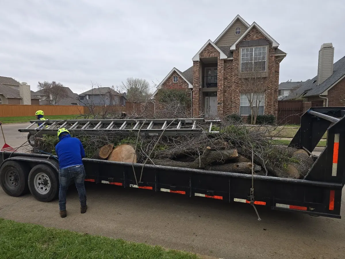 Expert Lot Clearing with proper safety equipment in Milliken